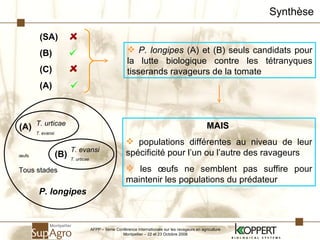 Synthèse P. longipes  (A) et (B) seuls candidats pour la lutte biologique contre les tétranyques tisserands ravageurs de la tomate MAIS   populations différentes au niveau de leur spécificité pour l’un ou l’autre des ravageurs les œufs ne semblent pas suffire pour maintenir les populations du prédateur AFPP – 8ème Conférence Internationale sur les ravageurs en agriculture Montpellier – 22 et 23 Octobre 2008 (SA) (B) (C) (A) (B) T. evansi T. urticae T. urticae   T. evansi (A) œufs Tous stades P. longipes 