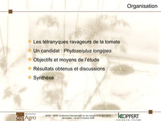 Les tétranyques ravageurs de la tomate Un candidat :  Phytoseiulus longipes Objectifs et moyens de l’étude Résultats obtenus et discussions  Synthèse Organisation AFPP – 8ème Conférence Internationale sur les ravageurs en agriculture Montpellier – 22 et 23 Octobre 2008 