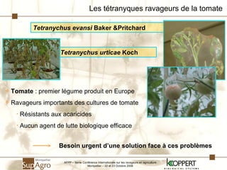 Tetranychus evansi  Baker &Pritchard Les tétranyques ravageurs de la tomate Tomate  : premier légume produit en Europe Ravageurs importants des cultures de tomate Résistants aux acaricides Aucun agent de lutte biologique efficace Besoin urgent d’une solution face à ces problèmes Tetranychus urticae  Koch AFPP – 8ème Conférence Internationale sur les ravageurs en agriculture Montpellier – 22 et 23 Octobre 2008 