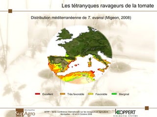 Les tétranyques ravageurs de la tomate Distribution méditerranéenne de  T. evansi  (Migeon, 2008) AFPP – 8ème Conférence Internationale sur les ravageurs en agriculture Montpellier – 22 et 23 Octobre 2008 Excellent Très favorable Favorable Marginal 