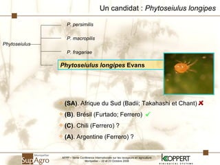 (SA) . Afrique du Sud (Badii; Takahashi et Chant) (B) . Brésil (Furtado; Ferrero) (C) . Chili (Ferrero) ? (A) . Argentine (Ferrero) ? Un candidat :  Phytoseiulus longipes Phytoseiulus longipes  Evans P. persimilis P. macropilis P. fragariae Phytoseiulus AFPP – 8ème Conférence Internationale sur les ravageurs en agriculture Montpellier – 22 et 23 Octobre 2008 