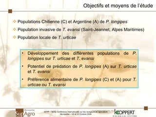 Objectifs et moyens de l’étude Populations Chilienne (C) et Argentine (A) de  P. longipes Population invasive de  T. evansi  (Saint-Jeannet, Alpes Maritimes) Population locale de  T. urticae Développement des différentes populations de  P. longipes  sur  T. urticae  et  T. evansi Potentiel de prédation de  P. longipes  (A) sur  T. urticae  et  T. evansi Préférence alimentaire de  P. longipes  (C) et (A) pour  T. urticae  ou  T. evansi AFPP – 8ème Conférence Internationale sur les ravageurs en agriculture Montpellier – 22 et 23 Octobre 2008 