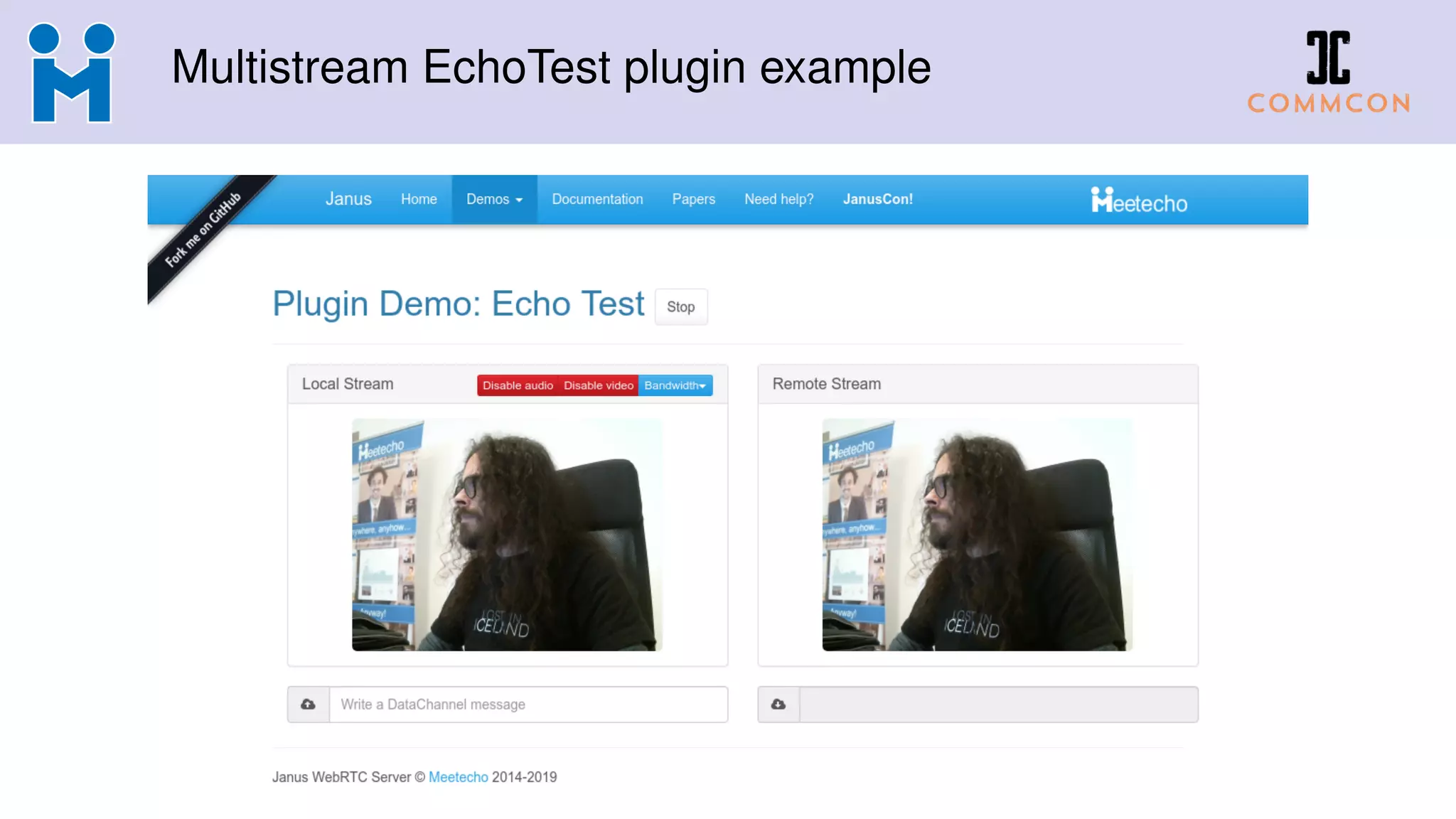 Multistream EchoTest plugin example
 