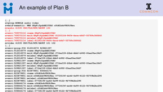 An example of Plan B
[..]
a=group:BUNDLE audio video
a=msid-semantic: WMS SPpFifgubAElUYAO cOtMlbdcVRU6JHeu
m=audio 41535 UDP/TLS/RTP/SAVPF 100
[..]
a=ssrc:769372116 cname:SPpFifgubAElUYAO
a=ssrc:769372116 msid:SPpFifgubAElUYAO 812931fd-94f4-4eca-b8d7-55789c386642
a=ssrc:769372116 mslabel:SPpFifgubAElUYAO
a=ssrc:769372116 label:812931fd-94f4-4eca-b8d7-55789c386642
m=video 41535 UDP/TLS/RTP/SAVPF 101 102
[..]
a=ssrc-group:FID 912016579 529821397
a=ssrc:912016579 cname:SPpFifgubAElUYAO
a=ssrc:912016579 msid:SPpFifgubAElUYAO f71ba339-22bd-4bbf-b99f-00aaffec36d7
a=ssrc:912016579 mslabel:SPpFifgubAElUYAO
a=ssrc:912016579 label:f71ba339-22bd-4bbf-b99f-00aaffec36d7
a=ssrc:529821397 cname:SPpFifgubAElUYAO
a=ssrc:529821397 msid:SPpFifgubAElUYAO f71ba339-22bd-4bbf-b99f-00aaffec36d7
a=ssrc:529821397 mslabel:SPpFifgubAElUYAO
a=ssrc:529821397 label:f71ba339-22bd-4bbf-b99f-00aaffec36d7
a=ssrc-group:FID 823879851 508644174
a=ssrc:823879851 cname:cOtMlbdcVRU6JHeu
a=ssrc:823879851 msid:cOtMlbdcVRU6JHeu 0772619f-ea4d-4e99-8122-92709b2bc295
a=ssrc:823879851 mslabel:cOtMlbdcVRU6JHeu
a=ssrc:823879851 label:0772619f-ea4d-4e99-8122-92709b2bc295
a=ssrc:508644174 cname:cOtMlbdcVRU6JHeu
a=ssrc:508644174 msid:cOtMlbdcVRU6JHeu 0772619f-ea4d-4e99-8122-92709b2bc295
a=ssrc:508644174 mslabel:cOtMlbdcVRU6JHeu
a=ssrc:508644174 label:0772619f-ea4d-4e99-8122-92709b2bc295
 