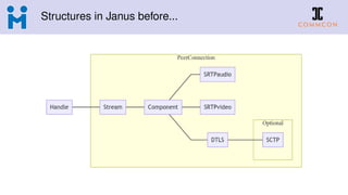 Structures in Janus before...
 