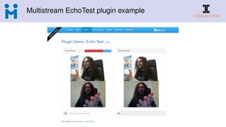 Multistream EchoTest plugin example
 