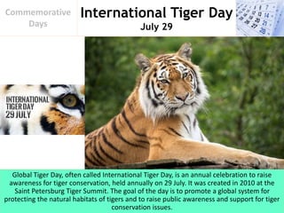International Tiger Day
July 29
Commemorative
Days
Global Tiger Day, often called International Tiger Day, is an annual celebration to raise
awareness for tiger conservation, held annually on 29 July. It was created in 2010 at the
Saint Petersburg Tiger Summit. The goal of the day is to promote a global system for
protecting the natural habitats of tigers and to raise public awareness and support for tiger
conservation issues.
 