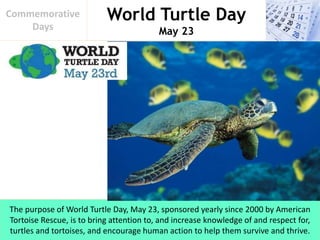 World Turtle Day
May 23
Commemorative
Days
The purpose of World Turtle Day, May 23, sponsored yearly since 2000 by American
Tortoise Rescue, is to bring attention to, and increase knowledge of and respect for,
turtles and tortoises, and encourage human action to help them survive and thrive.
 