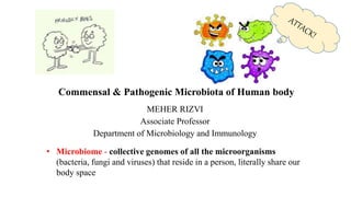Commensal & Pathogenic Microbiota of Human body
MEHER RIZVI
Associate Professor
Department of Microbiology and Immunology
• Microbiome - collective genomes of all the microorganisms
(bacteria, fungi and viruses) that reside in a person, literally share our
body space
 