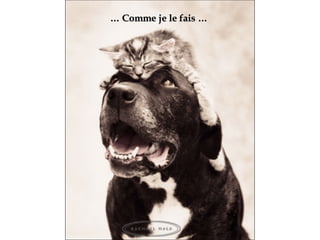 …  Comme je le fais  … 