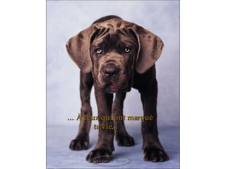 …   À ceux qui ont marqué ta vie... 