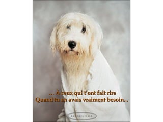 …   À  ceux qui t’ont fait rire Quand tu en avais vraiment besoin ... 