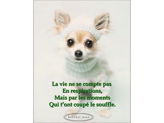 La vie ne se compte pas  En respirations, Mais par les moments Qui t’ont coupé le souffle. 