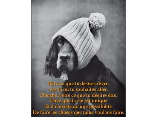 Rêve ce que tu désires rêver. Vas là où tu souhaites aller. Cherche à être ce que tu désires être. Parce que la vie est unique Et il n’existe qu’une possibilité De faire les choses que nous voulons faire. 