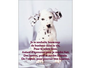 Je te souhaite beaucoup  de bonheur dans ta vie, Pour te sentir bien. Autant d’épreuves pour te rendre fort. Des larmes, pour te rendre humain. De l’espoir, pour pouvoir être heureux. 