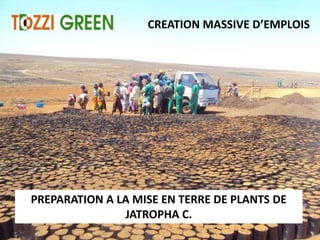 CREATION MASSIVE D’EMPLOIS




PREPARATION A LA MISE EN TERRE DE PLANTS DE
               JATROPHA C.
 