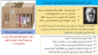 •
•
•





 