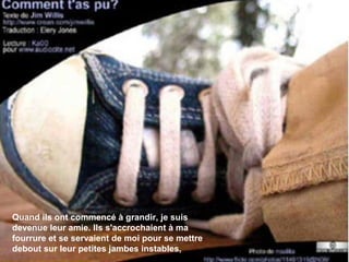 Quand ils ont commencé à grandir, je suis devenue leur amie. Ils s'accrochaient à ma fourrure et se servaient de moi pour se mettre debout sur leur petites jambes instables, 