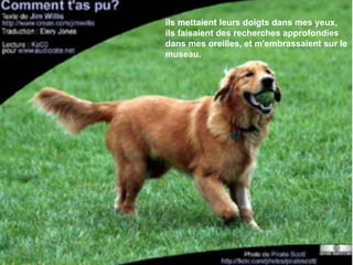 ils mettaient leurs doigts dans mes yeux, ils faisaient des recherches approfondies dans mes oreilles, et m'embrassaient sur le museau. 