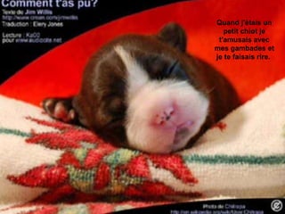 Quand j'étais un petit chiot je t'amusais avec mes gambades et je te faisais rire.  