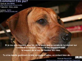 Et je me suis inquiété pour lui, de la leçon que tu venais de lui donner sur l'amitié et la loyauté, l'amour et les responsabilités, le respect de la vie,  de toutes les vies.   Tu m'as tapoté gentiment la tête, en guise d'adieu, en évitant bien de … 