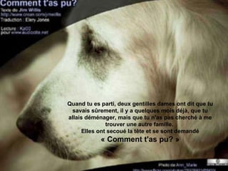 Quand tu es parti, deux gentilles dames ont dit que tu savais sûrement, il y a quelques mois déjà, que tu allais déménager, mais que tu n'as pas cherché à me trouver une autre famille.  Elles ont secoué la tête et se sont demandé  « Comment t'as pu? » 