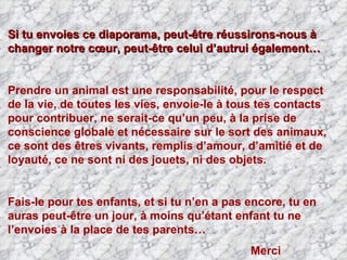 Si tu envoies ce diaporama, peut-être réussirons-nous à changer notre cœur, peut-être celui d’autrui également… Prendre un animal est une responsabilité, pour le respect de la vie, de toutes les vies,   envoie-le à tous tes contacts pour contribuer, ne serait-ce qu’un peu, à la prise de conscience globale et nécessaire sur le sort des animaux, ce sont des êtres vivants, remplis d’amour, d’amitié et de loyauté,   ce ne sont ni des jouets, ni des objets.  Fais-le pour tes enfants, et si tu n’en a pas encore, tu en auras peut-être un jour, à moins qu’étant enfant tu ne l’envoies à la place de tes parents… Merci  