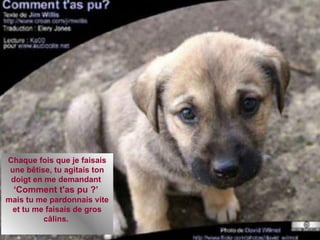 Chaque fois que je faisais une bêtise, tu agitais ton doigt en me demandant  ‘ Comment t'as pu ?’  mais tu me pardonnais vite et tu me faisais de gros câlins.  