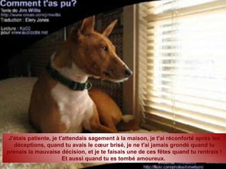 J'étais patiente, je t'attendais sagement à la maison, je t'ai réconforté après les déceptions, quand tu avais le cœur brisé, je ne t'ai jamais grondé quand tu prenais la mauvaise décision, et je te faisais une de ces fêtes quand tu rentrais ! Et aussi quand tu es tombé amoureux.  