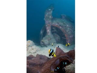 Comment cest possible_4_3