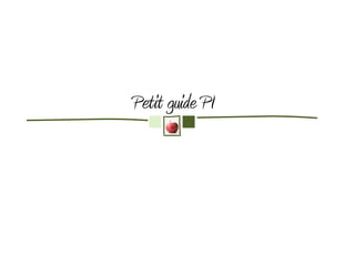 Petit guide PI
 