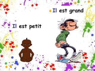 Il est grand
Il est petit