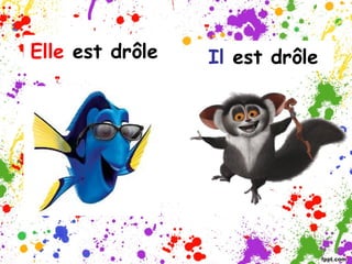 Elle est drôle
Il est drôle