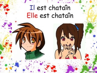 Il est chataîn
Elle est chataîn