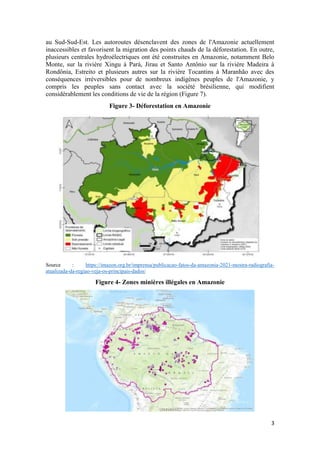 3
au Sud-Sud-Est. Les autoroutes désenclavent des zones de l'Amazonie actuellement
inaccessibles et favorisent la migratio...