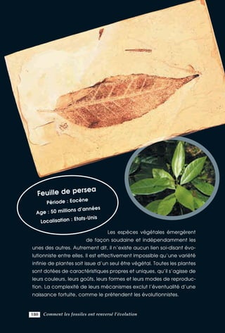 Comment les fossiles ont renversé l’évolution. french. français