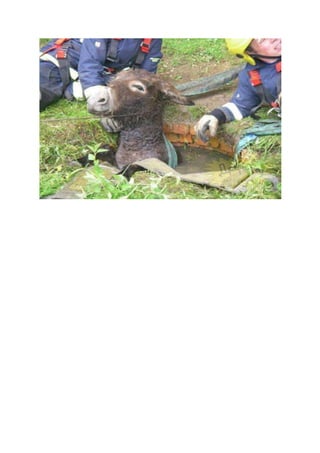 Comment ont ils fait ???