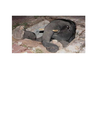 Comment ont ils fait ???