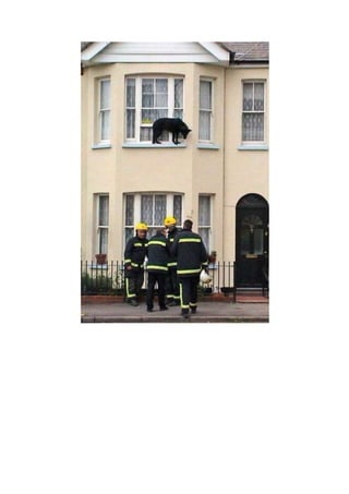 Comment ont ils fait ???