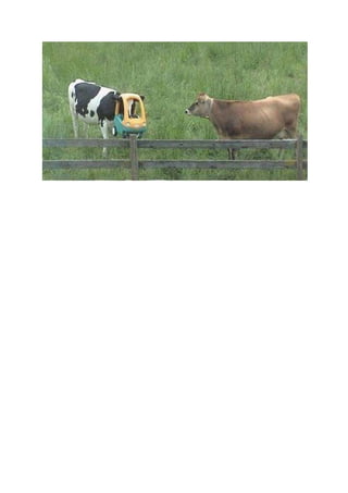 Comment ont ils fait ???