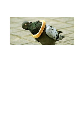 Comment ont ils fait ???