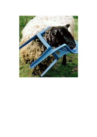 Comment ont ils fait ???