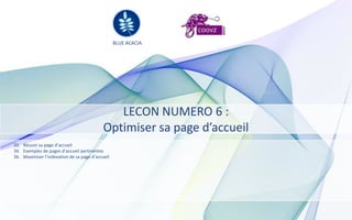 BLUE ACACIA




                                               LECON NUMERO 6 :
                                            Optimiser sa page d’accueil
33. Réussir sa page d’accueil
34. Exemples de pages d’accueil pertinentes
36. Maximiser l’indexation de sa page d’accueil
 