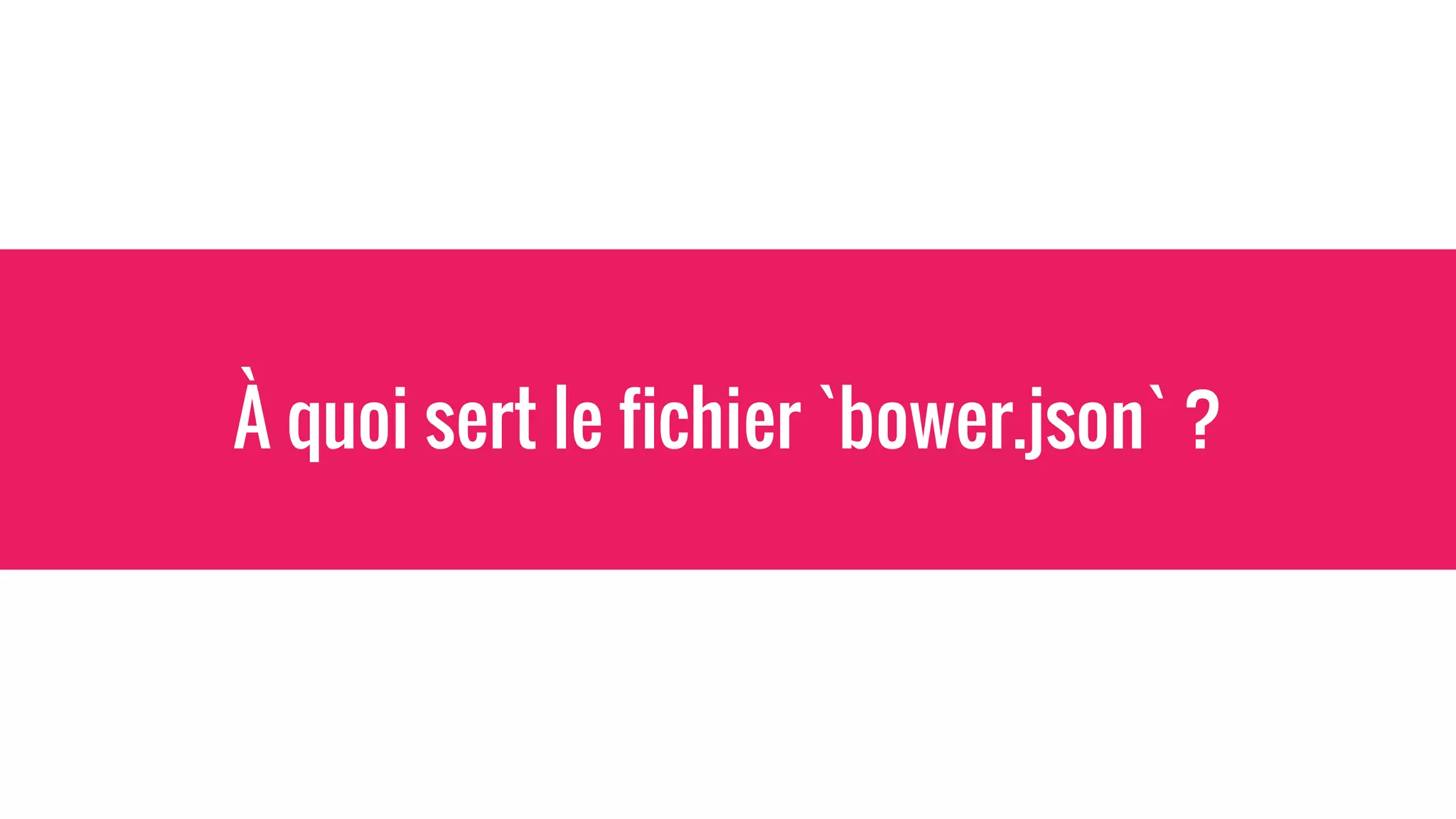 À quoi sert le fichier `bower.json` ?
 
