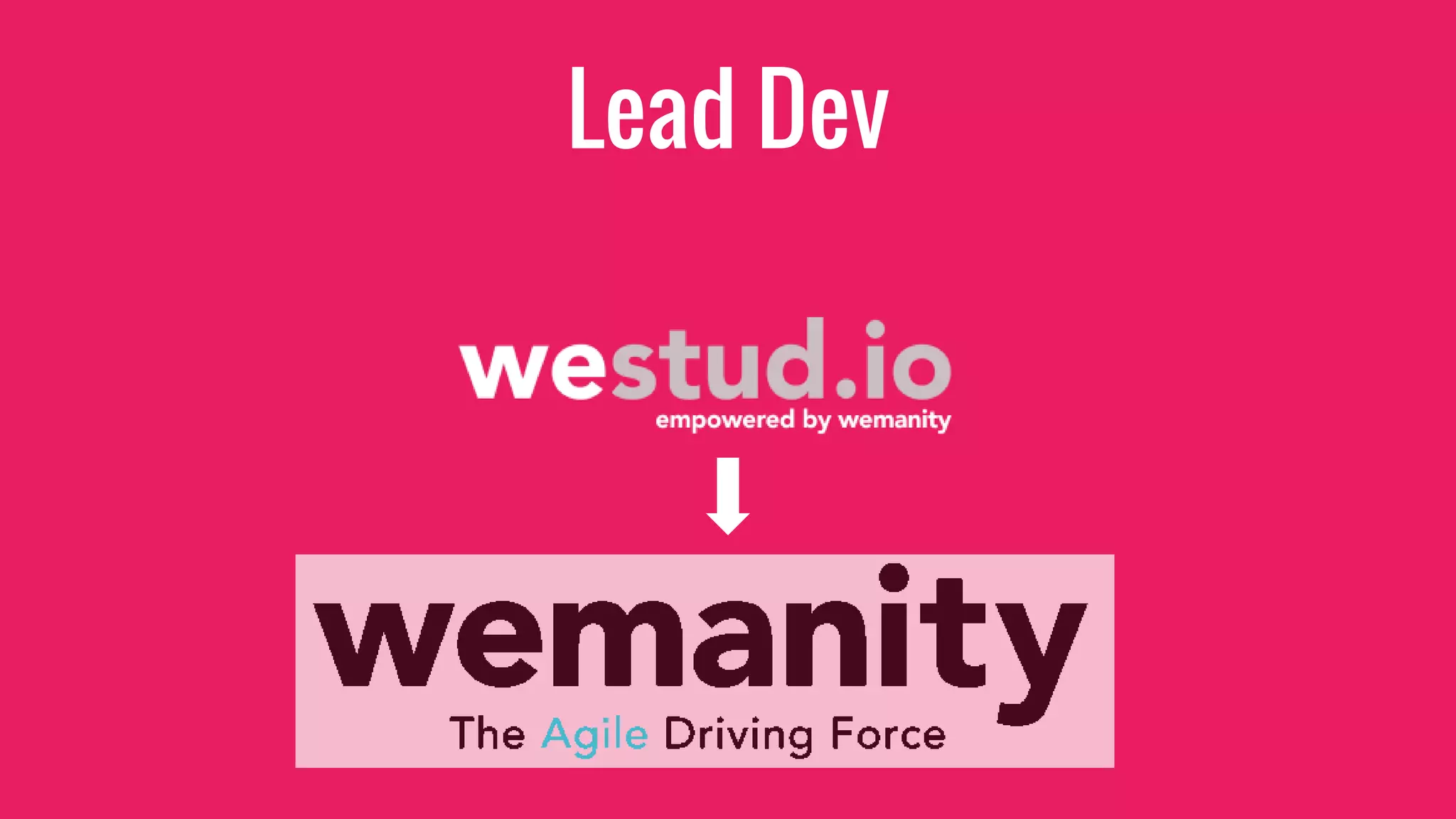 Lead Dev
 