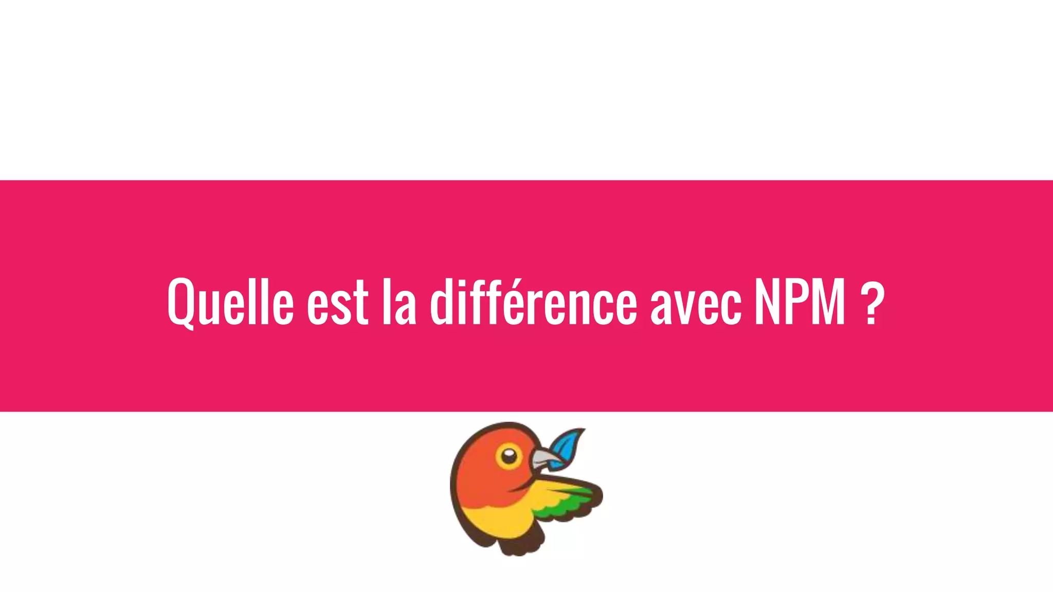 Quelle est la différence avec NPM ?
 