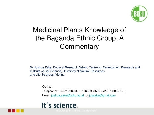 Research proposal image