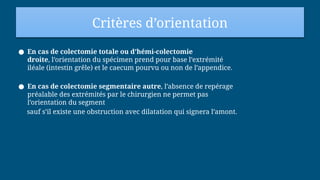 Critères d’orientation
● En cas de colectomie totale ou d’hémi-colectomie
droite, l’orientation du spécimen prend pour base l’extrémité
iléale (intestin grêle) et le caecum pourvu ou non de l’appendice.
● En cas de colectomie segmentaire autre, l’absence de repérage
préalable des extrémités par le chirurgien ne permet pas
l’orientation du segment
sauf s’il existe une obstruction avec dilatation qui signera l’amont.
 