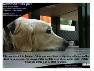 Elle, maintenant, ta femme, n'aime pas les chiens - malgré ça je l'ai accueillie dans notre maison, j'ai essayé d'être gentille avec elle et de lui obéir. J'étais heureuse parce que tu étais heureux. 