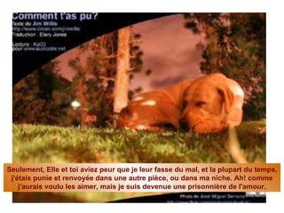 Seulement, Elle et toi aviez peur que je leur fasse du mal, et la plupart du temps, j'étais punie et renvoyée dans une autre pièce, ou dans ma niche. Ah! comme j'aurais voulu les aimer, mais je suis devenue une prisonnière de l'amour. 